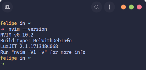 Imagem de versão do neovim