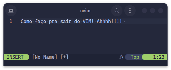 Neovim editor