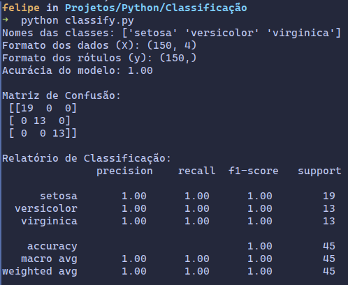 Resultado do algoritmo de classificação no terminal