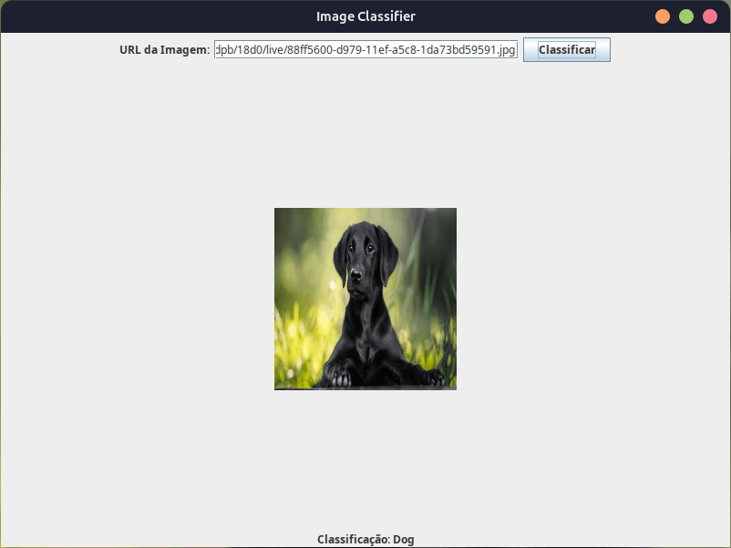 Previsão de rede neural para imagem de cachorro